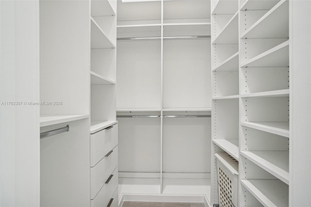 view of spacious closet