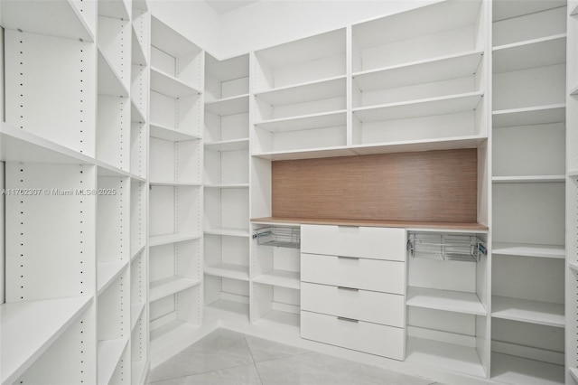 view of spacious closet