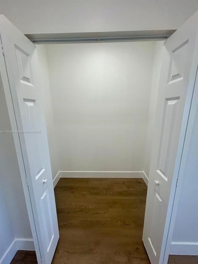 walk in closet featuring dark wood finished floors