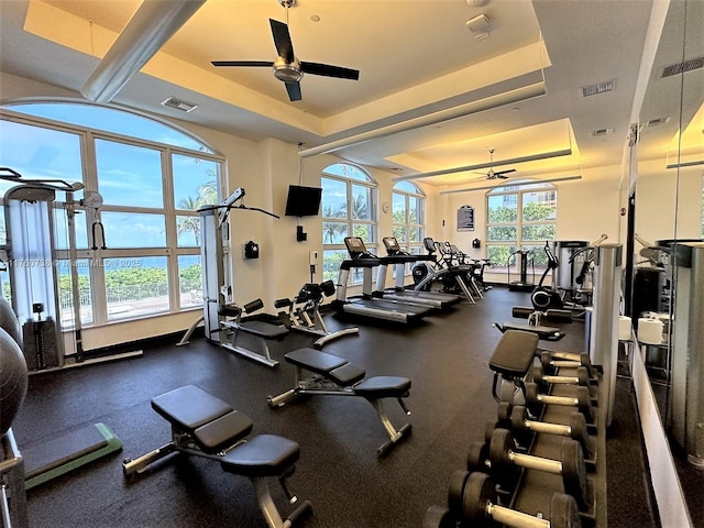 exercise room with visible vents, a healthy amount of sunlight, and a raised ceiling