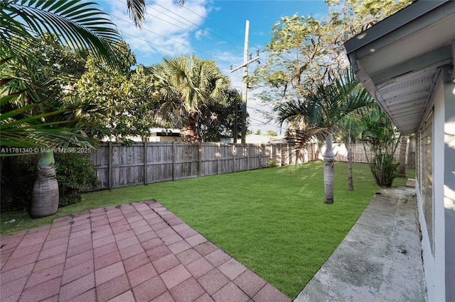 view of yard with a patio and a fenced backyard