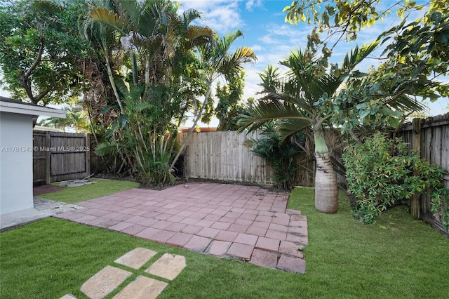 view of yard featuring a patio area and a fenced backyard