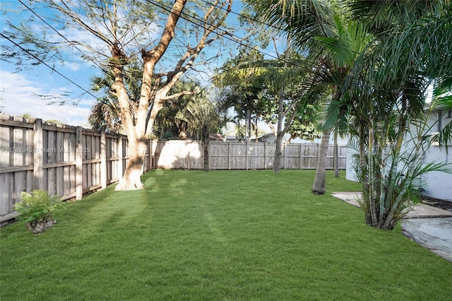 view of yard featuring a fenced backyard