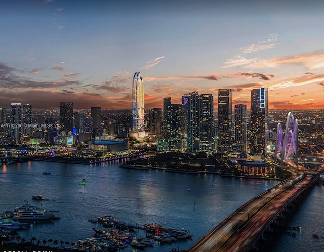 555 N Miami Ave Unit 4912, Miami, FL 33136 - water view featuring a city view