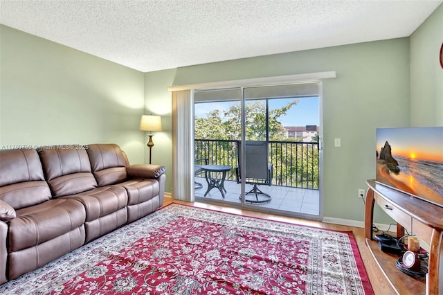 living room featuring wood finished floors, baseboards, and a textured ceiling