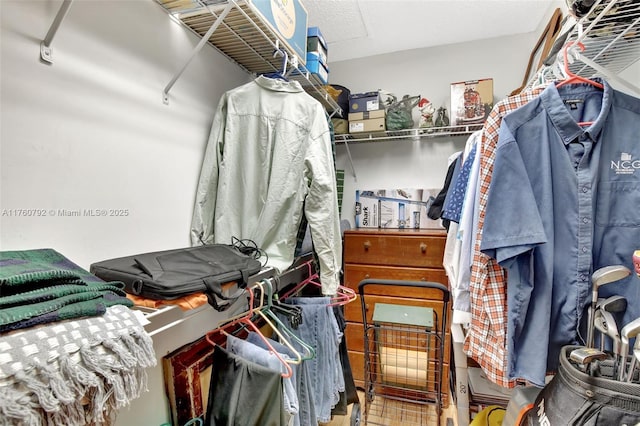 view of walk in closet