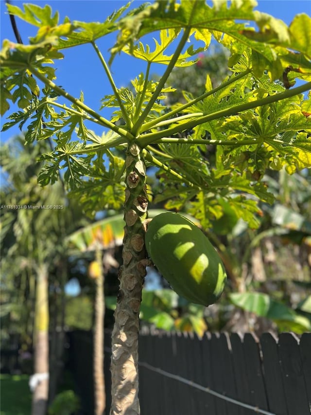 details with fence