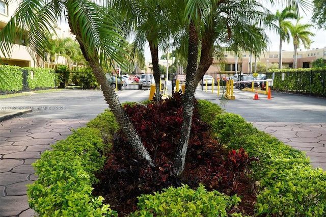 view of road featuring a gated entry