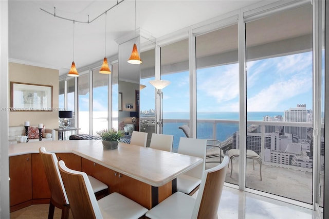 dining area featuring crown molding and a water view