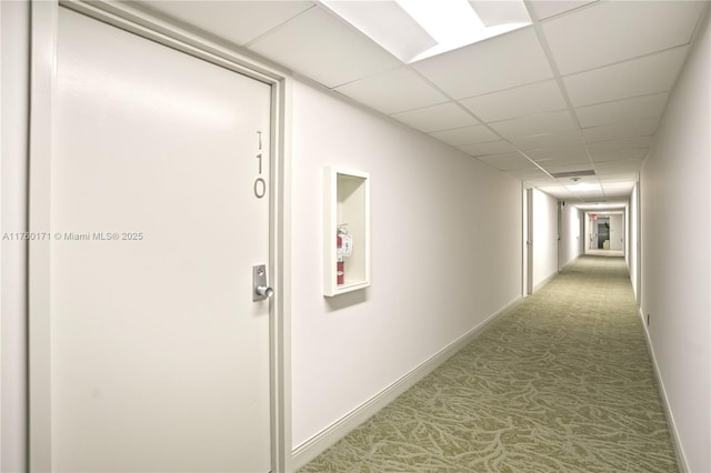 hall with a paneled ceiling, carpet floors, and baseboards