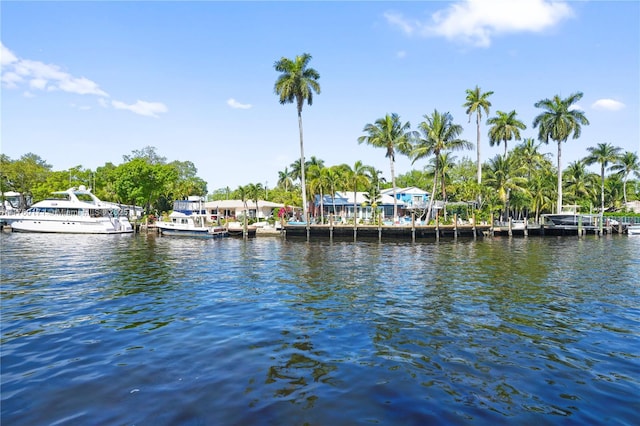 view of water feature with a dock