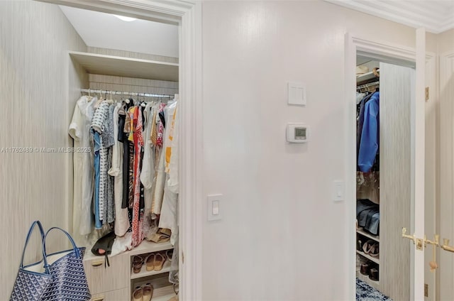 view of closet