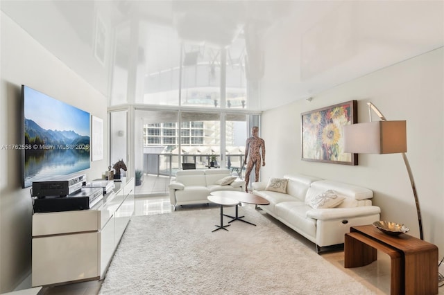 living area featuring a high ceiling