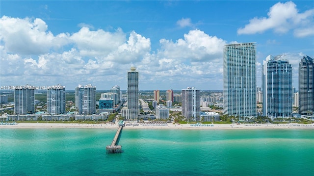 property view of water with a city view and a view of the beach