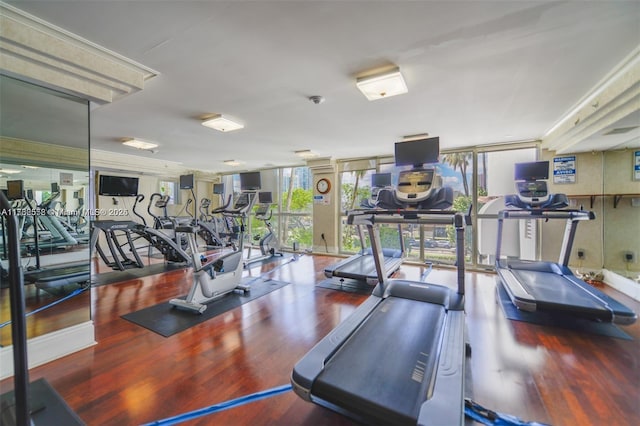 exercise room featuring a wall of windows and wood finished floors