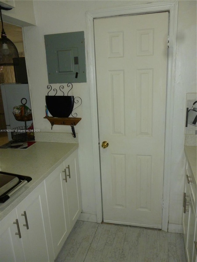 bathroom with vanity, electric panel, and wood finished floors