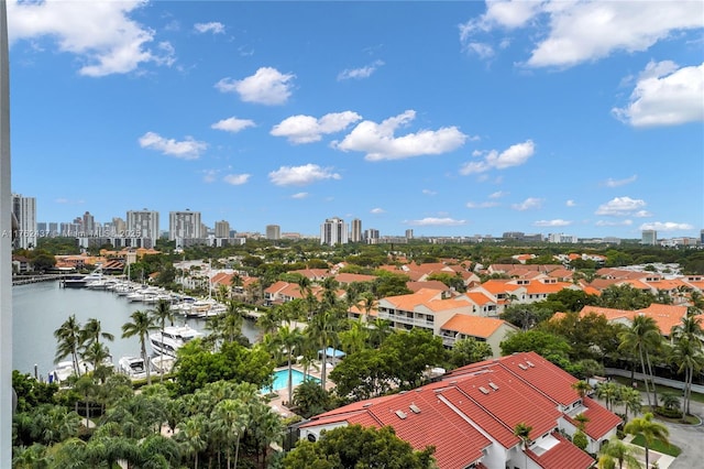 aerial view featuring a city view and a water view