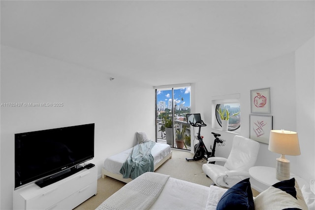 bedroom with carpet flooring and expansive windows