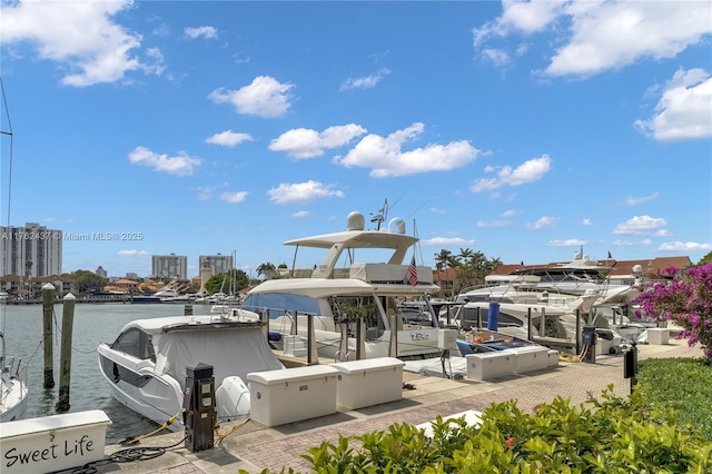 dock area with a water view