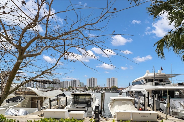 view of dock with a city view