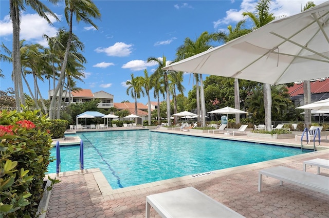 pool featuring a patio