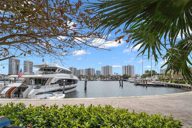 view of water feature featuring a city view and a boat dock