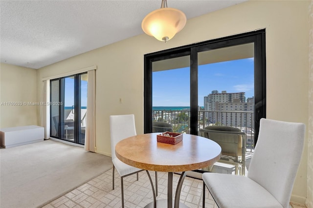 dining area with a city view, a textured ceiling, a healthy amount of sunlight, and carpet flooring