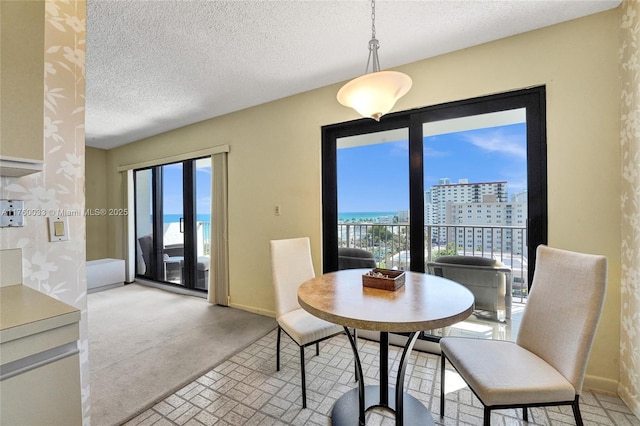 dining space featuring light carpet, a view of city, a textured ceiling, and baseboards