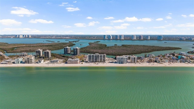 water view featuring a city view and a beach view