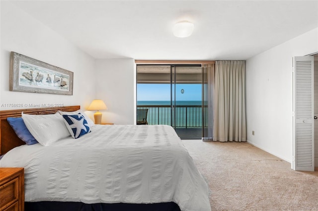 bedroom featuring access to exterior and carpet flooring