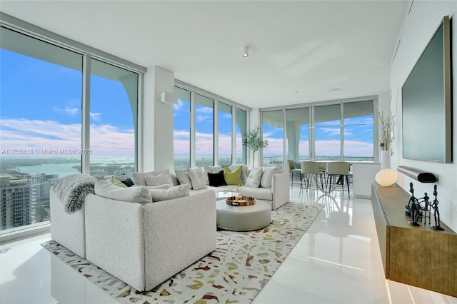 living room featuring expansive windows