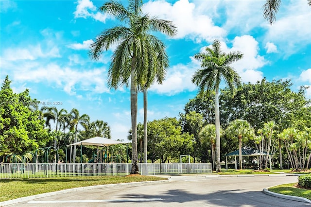 view of street with curbs