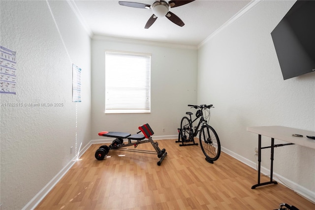 exercise area featuring ceiling fan, light wood-type flooring, baseboards, and ornamental molding