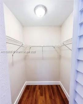 walk in closet with wood finished floors