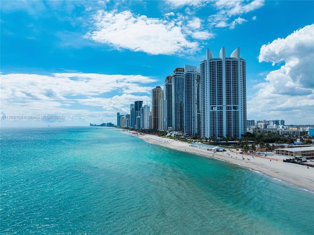 property view of water with a city view and a beach view