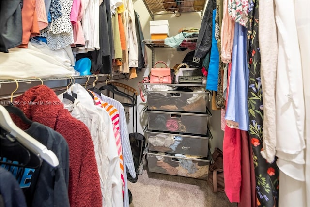 spacious closet with carpet