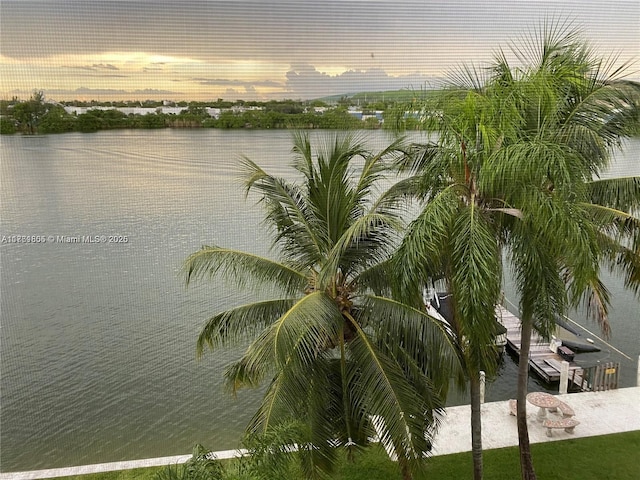 property view of water featuring a boat dock