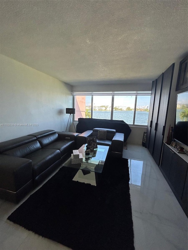 living room featuring a healthy amount of sunlight and a textured ceiling