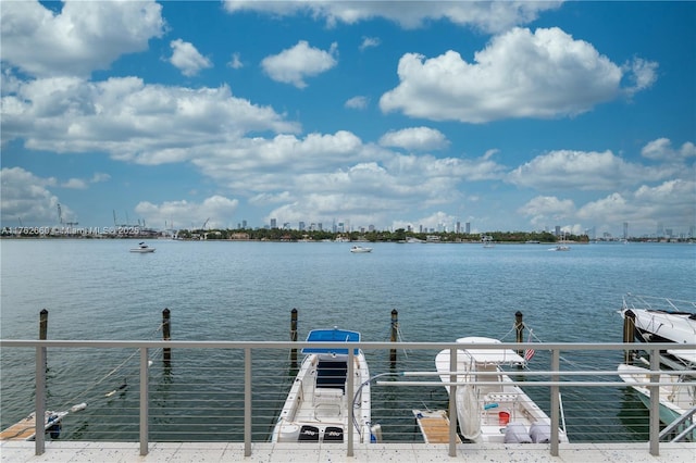 dock area with a water view