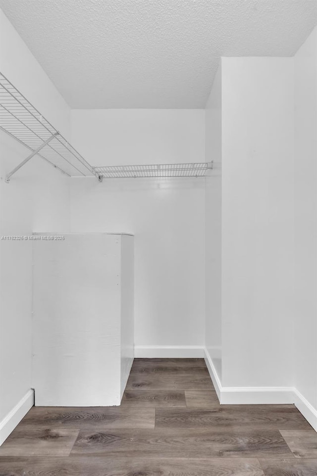 spacious closet featuring wood finished floors