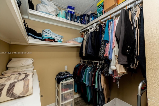 view of spacious closet