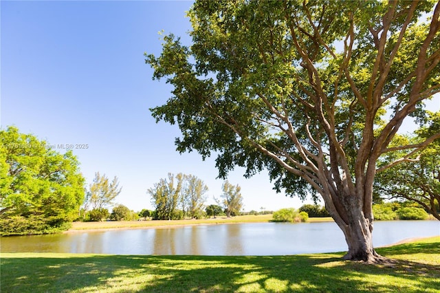 water view