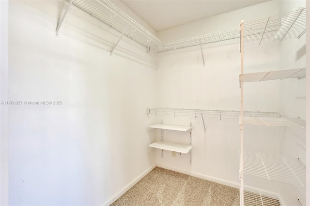walk in closet featuring carpet flooring