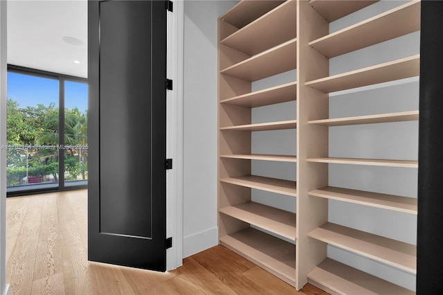 walk in closet with wood finished floors