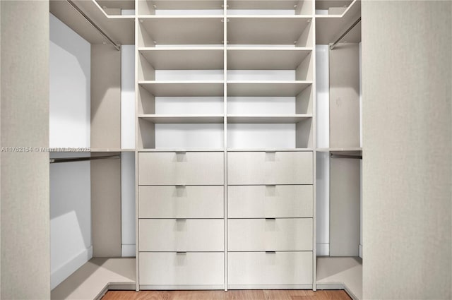 spacious closet featuring light wood-style flooring