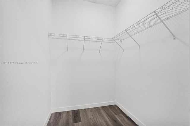 walk in closet featuring dark wood-type flooring