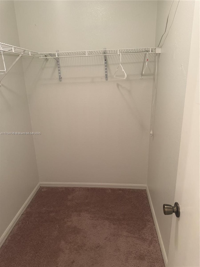 walk in closet featuring carpet floors