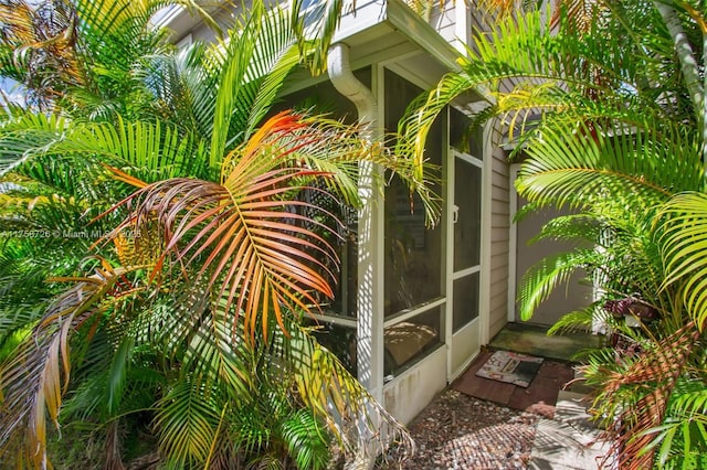 12140 Bruceton Way Unit 102, Orlando, FL 32828 - view of property entrance
