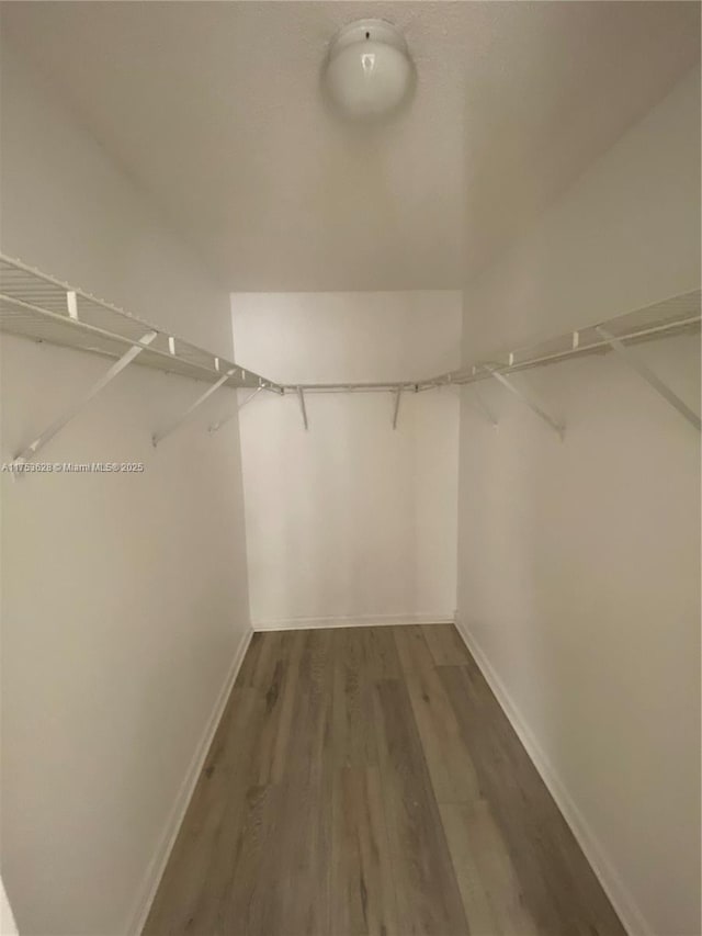 3231 Sabal Palm Mnr Unit 101, Davie, FL 33024 - walk in closet featuring wood finished floors