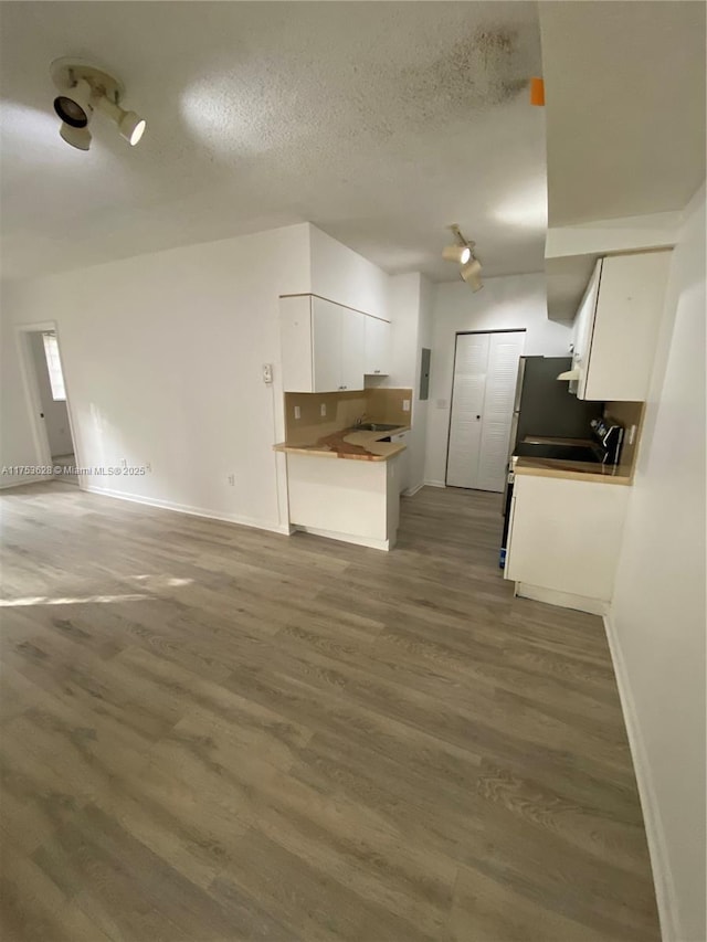 3231 Sabal Palm Mnr Unit 101, Davie, FL 33024 - unfurnished living room featuring wood finished floors, a textured ceiling, and electric panel